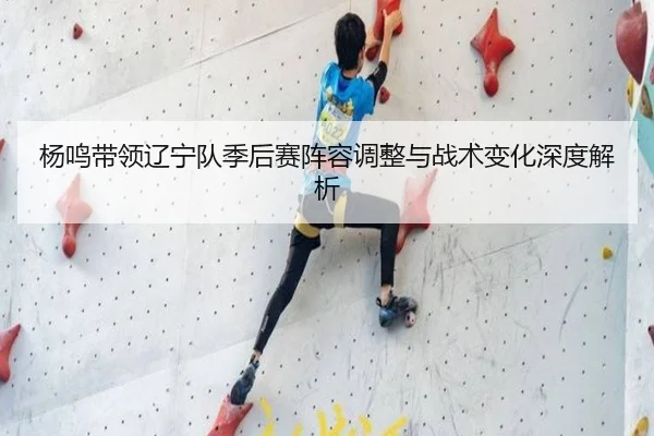 杨鸣带领辽宁队季后赛阵容调整与战术变化深度解析 - JINNIANHUI SPORTS